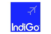 Indigo-100